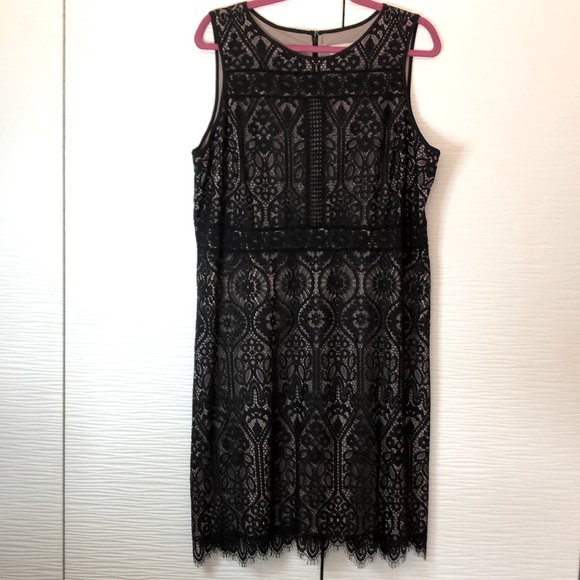 NWT LOFT black lace shift dress. Size 16. - Picture 1 of 8